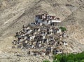 View of Thikse Monastery in Ladakh Royalty Free Stock Photo