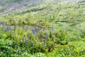 View on Third Lake of Karakol lakes in Altai Republic. Russia