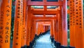 view through the thousands gates Senbon torii red repetitive gates to the mountain