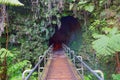 View of Thurston Lava Tube, Hawaii Volcanoes National Park Royalty Free Stock Photo
