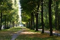 View of Tiergarten park. Berlin. Germany