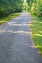 A View of the Tinker Creek Greenway