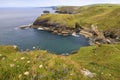 View from Tintagel Royalty Free Stock Photo