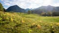 view to allgau alps from lookout point Hoffmannsruh, landscape Oberstdorf