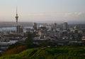 Hilltop vista of coastal cityscape of cbd and Sky Tower from Mount Eden with lush vegetation before sunset, Auckland, New Zealand