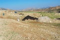 View to the Bakhtiari nomadic people camp circa Isfahan, Iran.