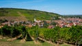 View to Barr in Alsace