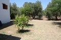 View to resort house in Sitonia, Greece Royalty Free Stock Photo