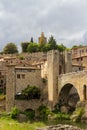 View to BesalÃÂº in portrait