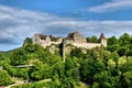 View to the castle at the rhine falls in Switzerland 20.5.2020