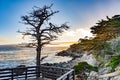 view to coast at Pebble beach and Lone Cypress Tree iat 17 mile drive Royalty Free Stock Photo