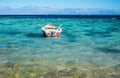 View to coastline of Red sea and fishing boat