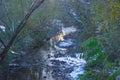 View to colorful sunset deep river near,