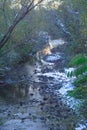 View to colorful sunset deep river near,