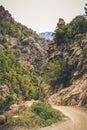 View to fenced trail in gorge among mountains covered by green pine forest. Royalty Free Stock Photo