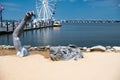 View to Ferris wheel and yacht marina pier on the Potomac River in National Harbor, Maryland