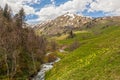 View to foothills of Caucasus mountains near Arkhyz, Karachay-Cherkessia, Russia