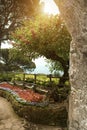 View to the garden at the villa in Ravello. Italy. Royalty Free Stock Photo