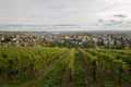 Wiesbaden, Germany seen from Neroberg