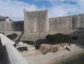 View to historical Dubrovnik city walls in Croatia