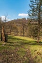 View to Hukvaldy castle ruins in Czech republic Royalty Free Stock Photo