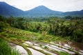 View to Jatiluwih rice terraces, Bali, Indonesia Royalty Free Stock Photo