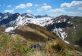 View to kanzelwand mountain, allgau alps, at early springtime. alpine meadow with blue gentian, some fluffy clouds