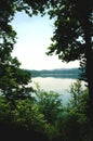 View to Laacher See lake with its trees.