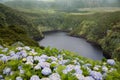 Lagoa Comprida, Flores, Azores, Portugal Royalty Free Stock Photo