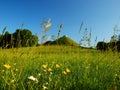 View to the land pyramid Royalty Free Stock Photo