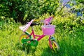 Little girl pink bicycle with basket parked in the middle of meadow. Royalty Free Stock Photo