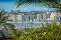 View to marina and Paseo Maritimo which is a nice boardwalk in Palma de Mallorca Royalty Free Stock Photo