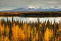 View to mount Wrangell and Zanetti Royalty Free Stock Photo