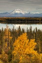 View to mount Wrangell and Zanetti Royalty Free Stock Photo