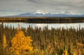 View to mount Wrangell and Zanetti Royalty Free Stock Photo