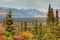 View to mount Wrangell and Zanetti Royalty Free Stock Photo