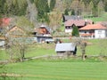view to a mountain pasture in the alps in Austria Royalty Free Stock Photo