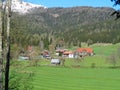 view to a mountain pasture in the alps with houses Royalty Free Stock Photo