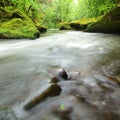 View to mountain stream below fresh green trees. Water level makes green reflections. The end of summer Royalty Free Stock Photo