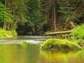 View to mountain stream below fresh green trees.