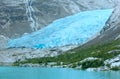 View to Nigardsbreen Glacier (Norway) Royalty Free Stock Photo