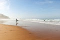 View to Praia do Amado, Beach and Surfer spot near Sagres and Lagos, Costa Vicentina Algarve Portugal