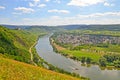 View to river Moselle and Marienburg Castle near village Puenderich - Mosel wine region in Germany