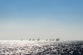 View to the sailing boats from a wide angle in a sunny and blue day. Royalty Free Stock Photo