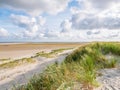 View to sand flats of Wadden Sea at low tide from dunes and beach of nature reserve Boschplaat on island Terschelling, Netherlands