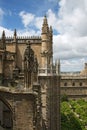 View to Seville cathedral and the city from Giralda