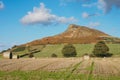 View to summit of Roseberry Topping over field of hay bales, North York Moors Royalty Free Stock Photo