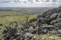 View to Tavistock area from Cox Tor Royalty Free Stock Photo