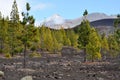 View to Teide, Tenerife.