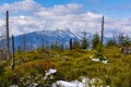 View to the top Babia hora Babia Gora in spring scenery, the highest peak of the Zywiec Beskids